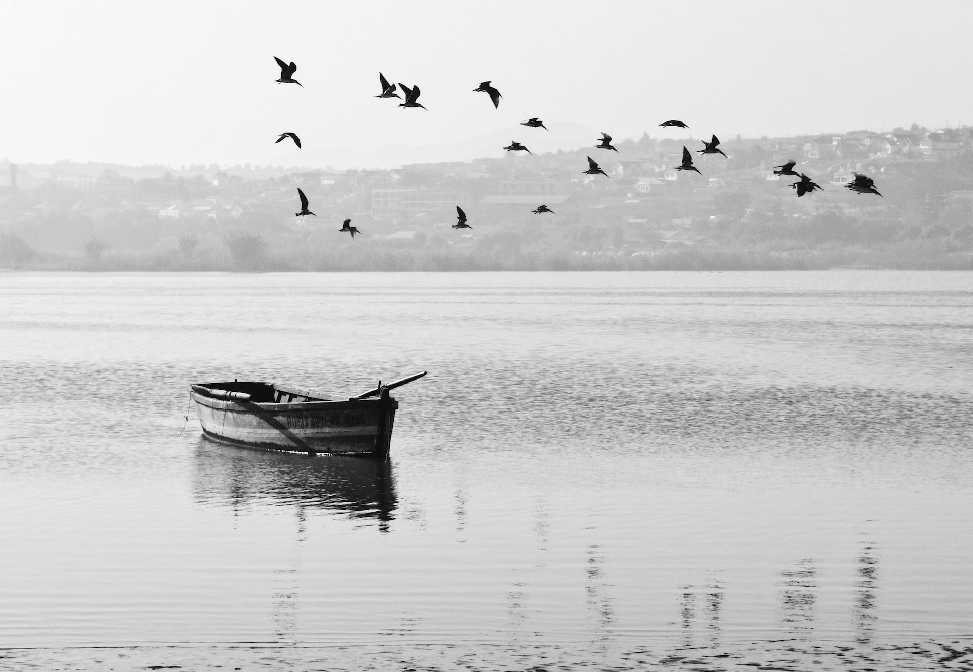 Flock of birds fly above lonely boat on lake